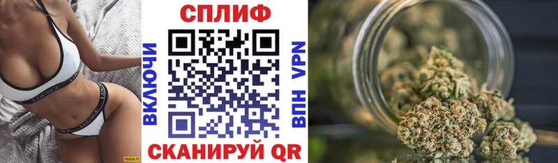 A-PVP Нюрба