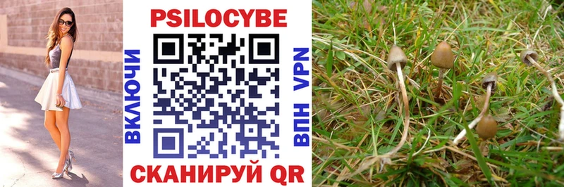 Купить закладки Нюрба Псилоцибиновые грибы ЛСД